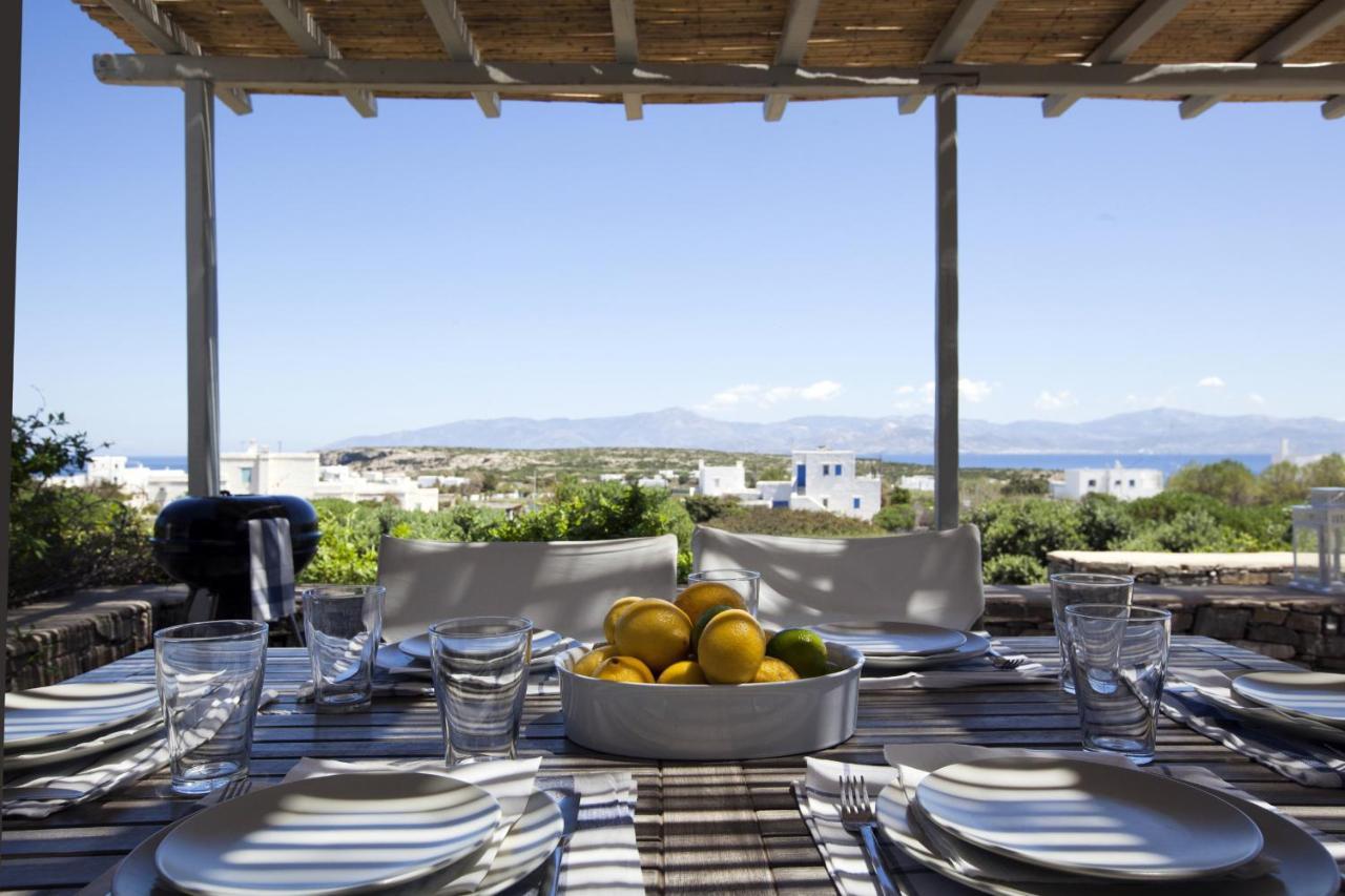 Kallisti Daphne - Gorgeous Villa - An Oasis For 8 People Náousa Eksteriør bilde
